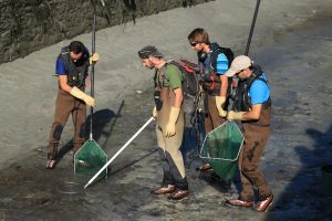 Pêche de sauvetage sur le canal de Vizille