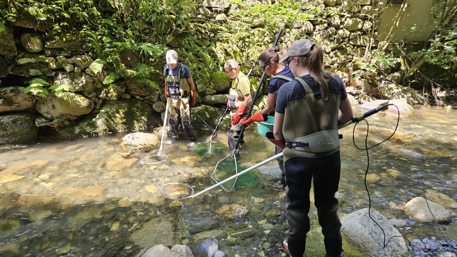 Pêches de sauvetage pour la société Alpes Ouvrages sur le Torrent de la Croix à Sallanches (74) et le Nant de Gillon à Epagny (74)